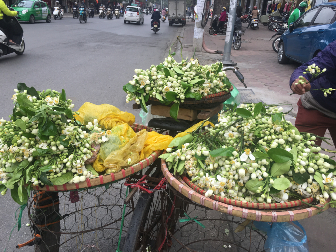 Vẻ đẹp tinh kh&ocirc;i hoa bưởi tr&ecirc;n đường phố H&agrave; Nội