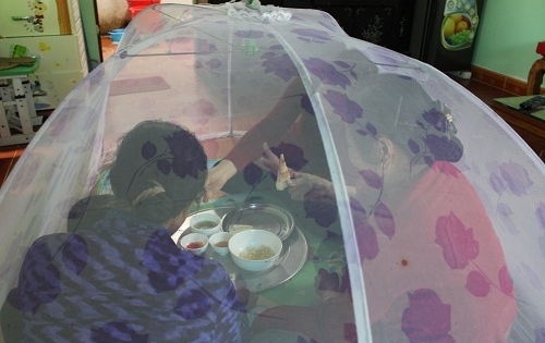 Dân mắc màn ăn cơm vì ruồi nhiều bất thường ở Lạng Sơn