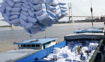 Xuất khẩu gạo sang Trung Quốc gặp khó