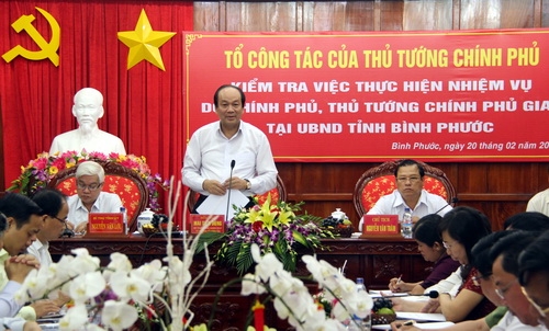 Chủ tịch Bình Phước xin lỗi Chính phủ khi để mất rừng