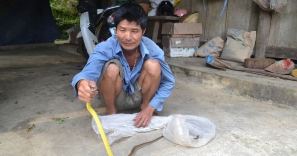 Hà Giang: Bí ẩn về thạch dược khắc chế độc xà của người Dao