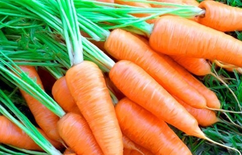 C&agrave; rốt:&nbsp;C&agrave; rốt chứa beta-carotene v&agrave; carotenoid, trực tiếp bảo vệ cơ thể chống lại việc hấp thụ chất g&acirc;y ung thư. Bạn c&oacute; thể ăn sống, nấu ch&iacute;n, hay l&agrave;m sa l&aacute;t.&nbsp;
