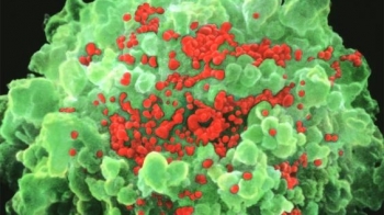 Phát hiện sốc: 5 bệnh nhân được chữa khỏi HIV nhờ loại thuốc mới