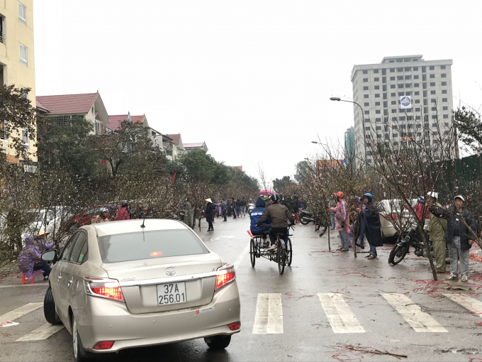 Nhiều người dầm mưa, chịu cái lạnh tê tái ra tận lề đường để bán đào tết