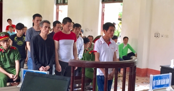 “Kỳ án” trộm trâu ở Bát Xát, Lào Cai: Các bị cáo được trả tự do tại tòa