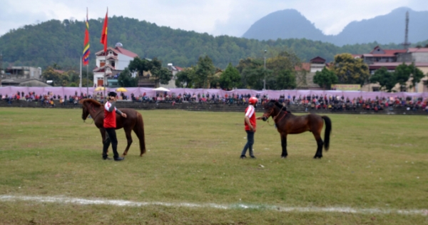 Hà Giang: Tổ chức giải đua ngựa huyện Vị Xuyên lần thứ nhất năm 2018