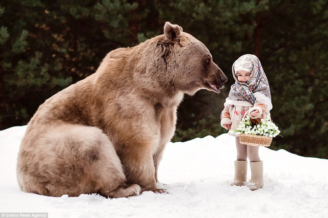 Bộ ảnh chụp gấu Stepan b&ecirc;n cạnh những em b&eacute; trong một c&aacute;nh rừng ở gần Moscow, Nga, hiện đang g&acirc;y sốt tr&ecirc;n mạng bởi khiến người ta tưởng như trong truyện cổ t&iacute;ch.
