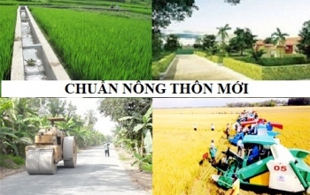 Hà Nội: Lập hội đồng, đoàn thẩm định xã đạt chuẩn nông thôn mới