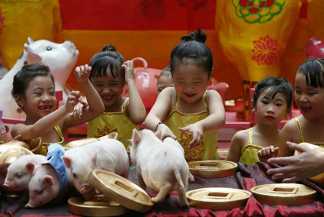 Trẻ em th&iacute;ch th&uacute; chơi đ&ugrave;a với lợn tại sự kiện ch&agrave;o đ&oacute;n năm mới ở thủ đ&ocirc; Manila, Philippines. (Ảnh: AP)