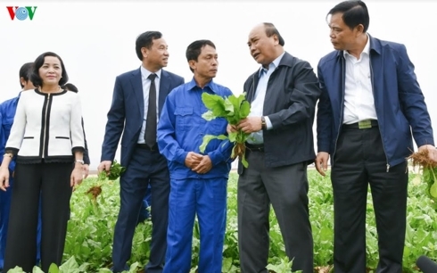 Thủ tướng: Nông nghiệp có thể trở thành “đòn bẩy” chiến lược