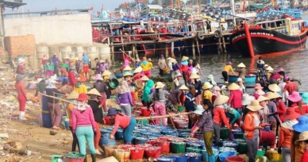 Hơn 1.200 ngư dân Quảng Ngãi bám biển Hoàng Sa xuyên tết