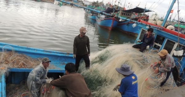 Ngư dân Ninh Thuận phấn khởi với mẻ cá thuận lợi đầu năm