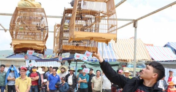 Tưng bừng Lễ hội Việt Bắc trên Tây Nguyên
