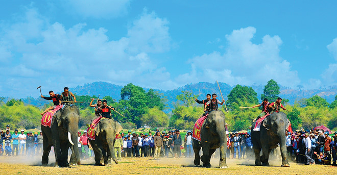 Lễ hội đua voi. Ảnh Zing.vn