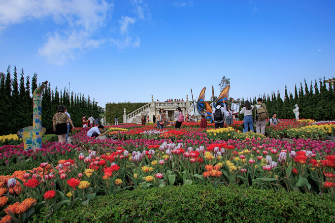 Lễ hội hoa với hơn 1 triệu b&ocirc;ng tulip tại B&agrave; N&agrave; Hills.
