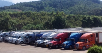 Container chở thanh long xếp hàng dài trước cửa khẩu ở Lào Cai