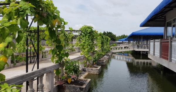 Liên tục bị huyện Vĩnh Thuận "rải đinh", doanh nghiệp kêu UBND tỉnh Kiên Giang cứu?