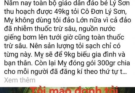 Quảng Ngãi: Facebooker tung tin thất thiệt liên quan tỏi Lý Sơn
