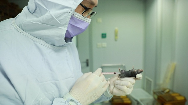 Số người chết tăng vọt, thế giới cấp tập tìm vắc xin chống dịch corona