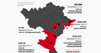 Infographics - Dịch cúm gia cầm A/H5N6 xuất hiện tại 5 tỉnh, thành phố của Việt Nam