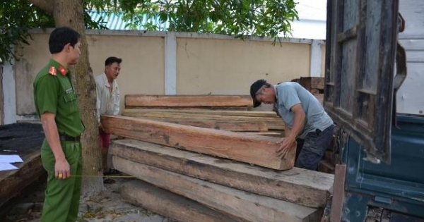 Quảng Nam: Ngụy trang chở bao vỏ ve chai để vận chuyển gỗ lậu
