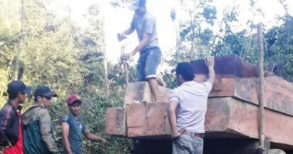 Gia Lai: Khởi tố đối tượng vận chuyển gỗ lậu, chống người thi hành công vụ