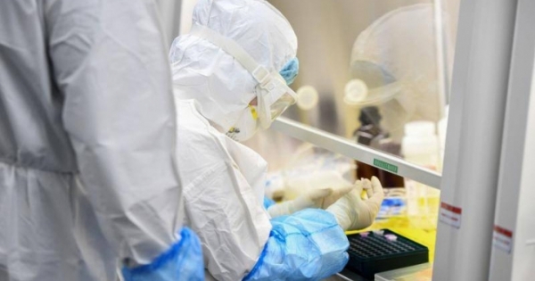 Vaccine phòng SARS-CoV-2 đạt thành công bước đầu trong thử nghiệm