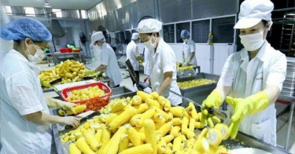 Nông nghiệp Việt năm 2020 xuất khẩu “ngoạn mục”