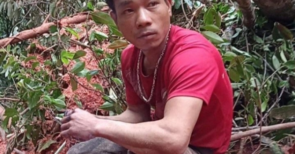 Đắk Lắk: Hai đối tượng rủ nhau vào rừng khai thác gỗ trái phép, bán kiếm tiền tiêu Tết