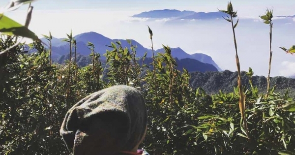 Chinh phục đỉnh Pu Ta Leng khám phá khu rừng cổ tích