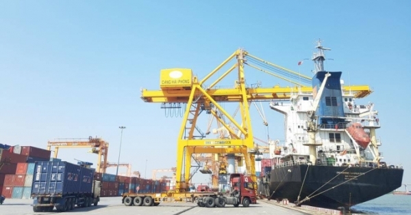 Hải Phòng: Thực hiện chính sách miễn lưu bãi tại cảng dịp Tết Nguyên đán Nhâm Dần