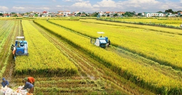 Đến năm 2030, phát triển vùng Đồng bằng Sông Cửu Long trở thành trung tâm kinh tế nông nghiệp bền vững