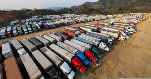 Từ ngày 16/2, Lạng Sơn tạm dừng tiếp nhận xe chở hoa quả tươi xuất khẩu