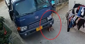 Video: Hoảng hồn cảnh bé trai thoát chết thần kỳ khi bị cuốn vào gầm xe tải