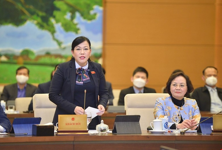 Bí thư Tỉnh ủy Thái Nguyên Nguyễn Thanh Hải phát biểu tại phiên họp (Ảnh: Quochoi.vn).