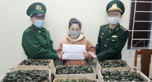 Thanh Hoá: Tóm gọn đối tượng vận chuyển trái phép 40kg quả thuốc phiện tại cửa khẩu Na Mèo