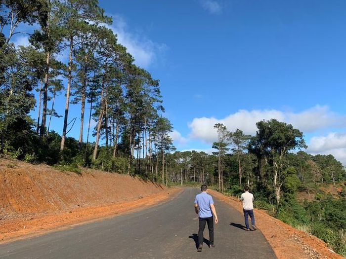 Nhiều đất rừng chưa được chuyển đổi nhưng UBND huyện Kon Plông đã cho triển khai dự án.