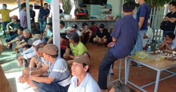 Bình Thuận: Thông tin mới nhất về vụ Công an triệt phá trường gà quy mô lớn ở Mũi Né