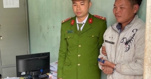 Quảng Ninh: Khởi tố, bắt giam 2 đối tượng hủy hoại gần 30 ha rừng