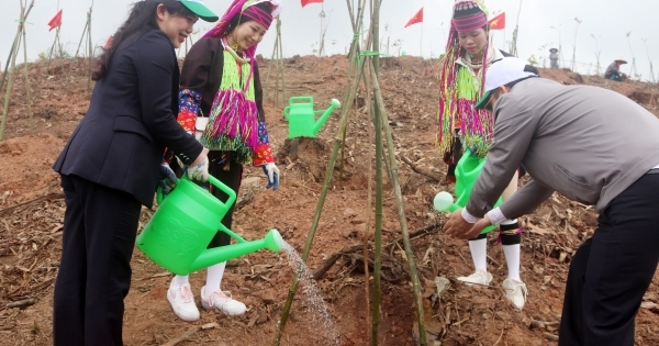 Quảng Ninh: Phấn đấu trồng 1 triệu cây xanh trong năm 2024