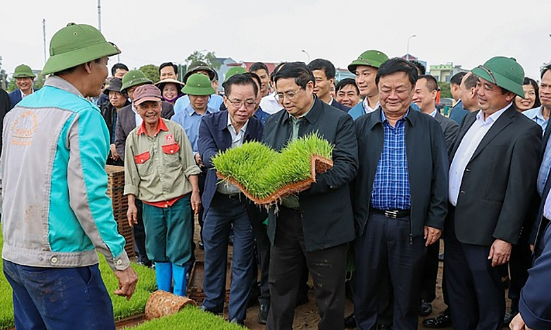 Thủ tướng thăm khu vực sản xuất mạ khay và cánh đồng gieo sạ bằng máy (Ảnh: VGP).