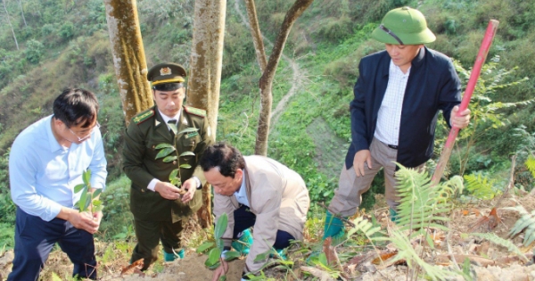 Hà Giang phát động trồng cây với chủ đề “Hành trình biên cương xanh”