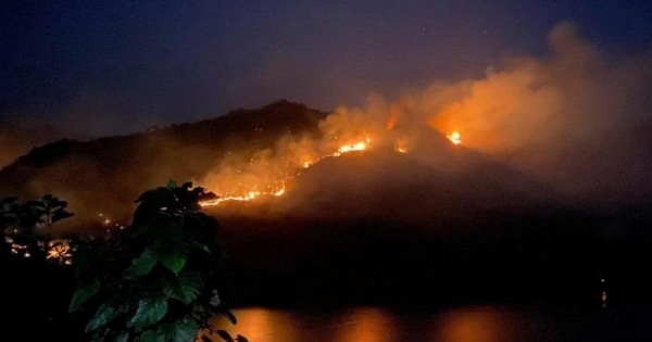 Sơn La: Cháy hơn 50 ha rừng đang trong quy hoạch phòng hộ