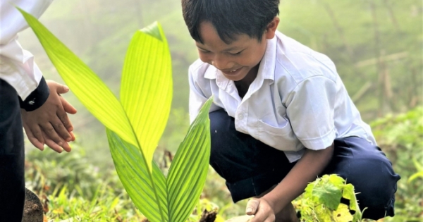 Tổ chức giảng dạy lồng ghép các chuyên đề về trồng cây xanh