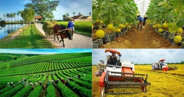 Nâng cao vai trò, hiệu quả phát triển kinh tế tập thể trong nông nghiệp của Hội Nông dân