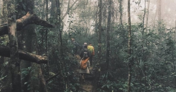 Đi kiểm tra rừng, đoàn Kiểm lâm VQG Phong Nha–Kẽ Bàng bị tấn công
