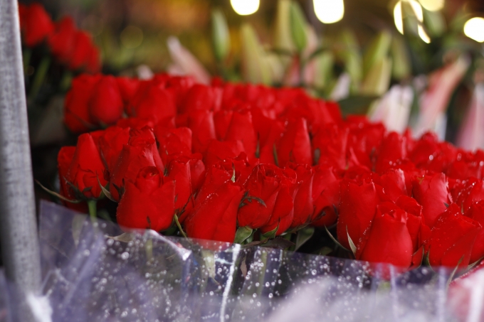 Những b&ocirc;ng hoa hồng đỏ rực l&agrave; loại hoa chủ yếu được b&agrave;y b&aacute;n trong những ng&agrave;y n&agrave;y.