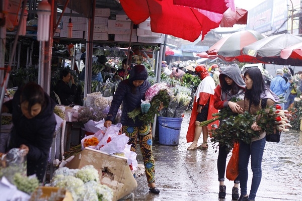 Rất nhiều người đến tận chợ hoa Quảng An (T&acirc;y Hồ, H&agrave; Nội) mua hoa về b&aacute;n trong những ng&agrave;y n&agrave;y.