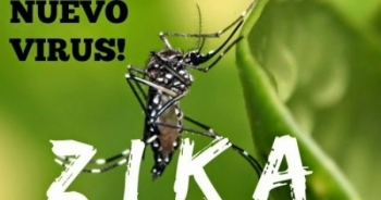 54 quốc gia và vùng lãnh thổ ghi nhận có virut Zika