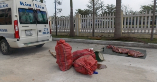 Quảng Nam: Bắt giữ gần 300 kg thịt heo không rõ nguồn gốc